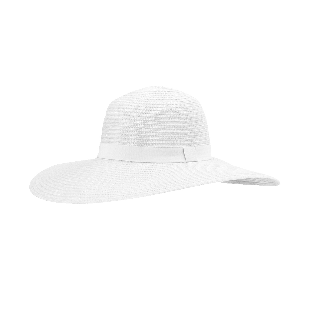 wide brimmed holiday hat